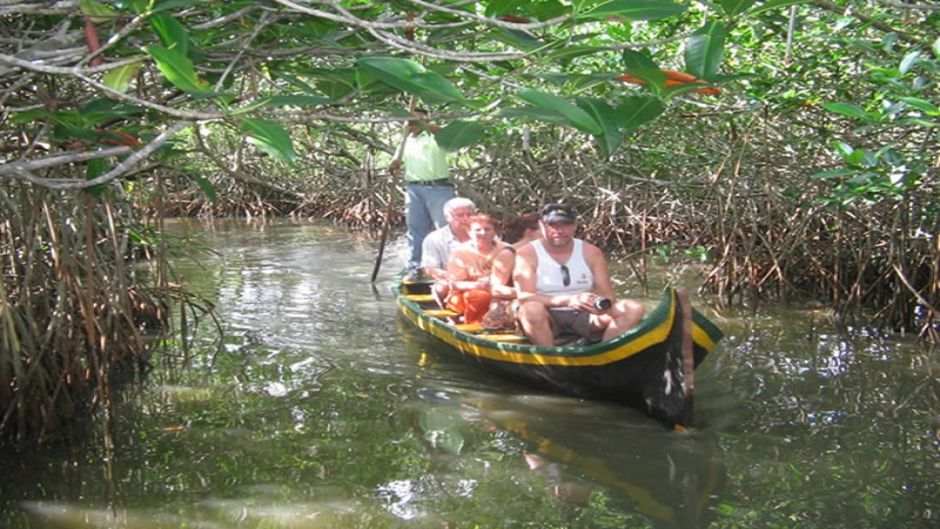 Tour por los manglares de Boquilla, Cartagena das Índias, Colômbia