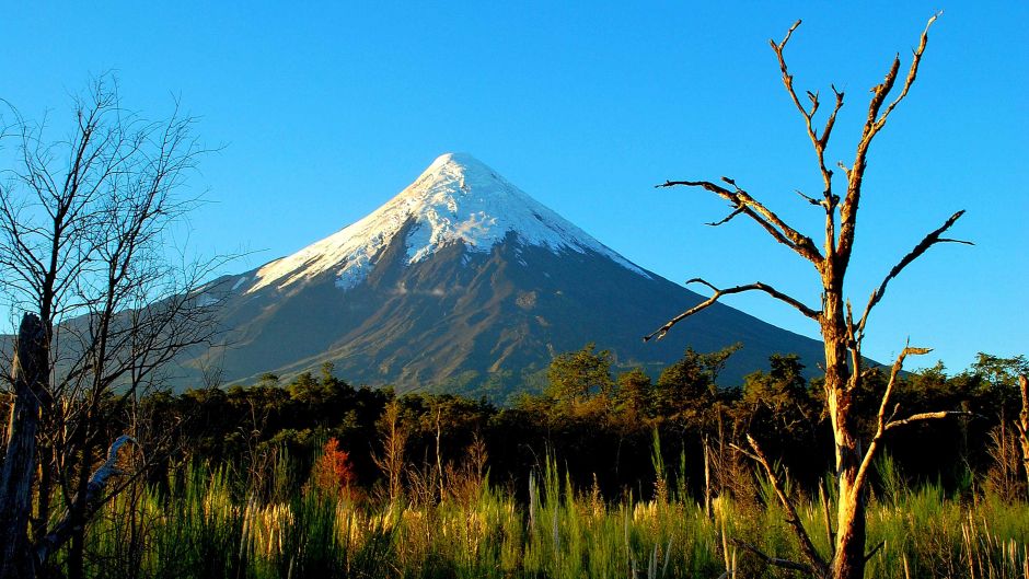 MAIS FOTOS, Tour pelo VulcÃ£o Osorno e visita a cervejaria artesanal