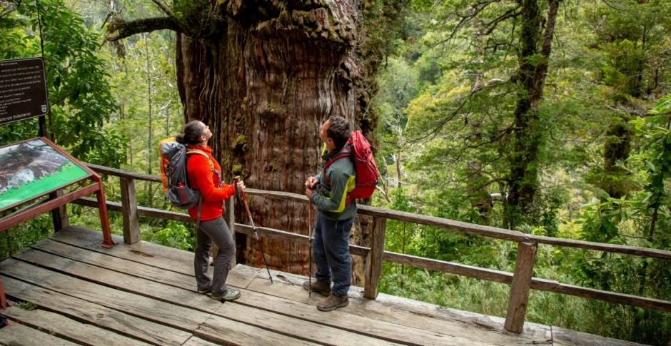 Passeio ao Parque Nacional Andino, Puerto Varas, CHILE