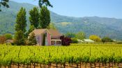 ExcursÃ£o em SÃ£o Francisco para conhecer Sequioias e Vinhos, San Francisco, CA, ESTADOS UNIDOS