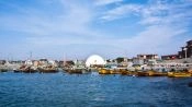 Chanaral  de Aceituno Tour - (ObservaÃ§Ã£o da baleia), La Serena, CHILE