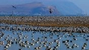  TOUR PRIVADO NA CIDADE DE ARICA, Arica, CHILE