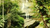 Trekking Parque Nacional da Tijuca, Rio de Janeiro, Rio de Janeiro, BRASIL