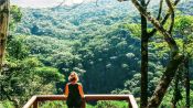 Trekking Parque Nacional da Tijuca, Rio de Janeiro, Rio de Janeiro, BRASIL