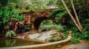 Trekking Parque Nacional da Tijuca, Rio de Janeiro, Rio de Janeiro, BRASIL