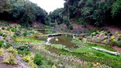 ExcursÃ£o Terrestre em San Antonio, Parque Tricao, San Antonio, CHILE