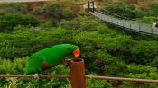 ExcursÃ£o Terrestre em San Antonio, Parque Tricao, San Antonio, CHILE