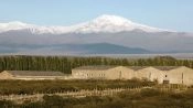 Rota dos Vinhos Valle de Uco, Mendoza, Mendoza, ARGENTINA