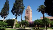 ExcursÃ£o de dia inteiro em Marrakech saindo de Casablanca, Casablanca, MARROCOS