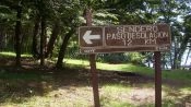 TREKKING PASO DESOLAÃ§Ã£O, Puerto Varas, CHILE