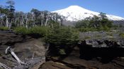 GRUTAS VULCANICAS , Pucon, CHILE