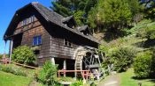 EXCURSÃ£O A  PARQUE DO PUYEHUE - E TERMAS ÃGUA QUENTE, PUERTO VARAS, Puerto Varas, CHILE