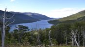 Tour ao Lago Escondido e Lago Fagnano, Ushuaia, ARGENTINA