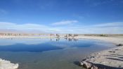 LAGOA CEJAR TEBENQUINCHE + OJOS DE SALAR, San Pedro de Atacama, CHILE