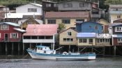 ISLA GRANDE DE CHILOE; ANCUD E  PINGUINERAS DE PUÃIHUIL, Puerto Varas, CHILE