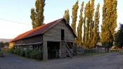 ISLA GRANDE DE CHILOE; ANCUD E  PINGUINERAS DE PUÃIHUIL, Puerto Varas, CHILE