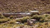 TERMAS DE PURITAMA, San Pedro de Atacama, CHILE