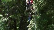 CANOPY, Pucon, CHILE