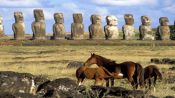 CAVALGADA EM ILHA DE PÃ¡SCOA, Ilha de Pascoa, CHILE