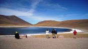 .  LAGUNAS ALTIPLANICAS -SALAR DE ATACAMA , San Pedro de Atacama, CHILE