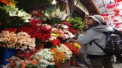 City Tour Bolivia com um guia de engraxate., La Paz, Bolívia