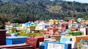 ExcursÃ£o a Chichicastenango e Lago Atitlan, Cidade da Guatemala, GUATEMALA