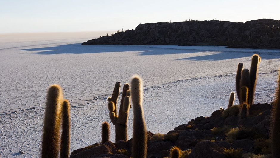 Fuga para o Grande Sal de Uyuni