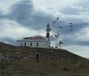 PUNTA ARENAS E PINGüIM