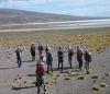 SAN PEDRO DE ATACAMA E SEU ENTORNO