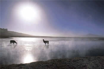 A Rota do Salar, San Pedro de Atacama, CHILE