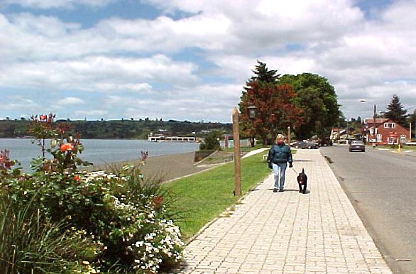 EXCURSÃ£O FRUTILLAR, LLANQUIHUE, Puerto Montt, CHILE