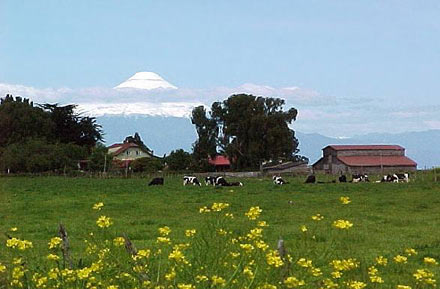 EXCURSÃ£O FRUTILLAR, LLANQUIHUE, Puerto Montt, CHILE