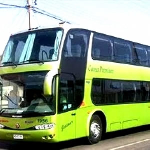 Huilo Huilo Por Terra - Bus